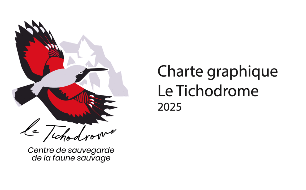 Charte graphique