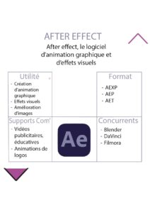 Déclinaison poster numérique (4)