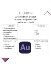 Déclinaison poster numérique (5)