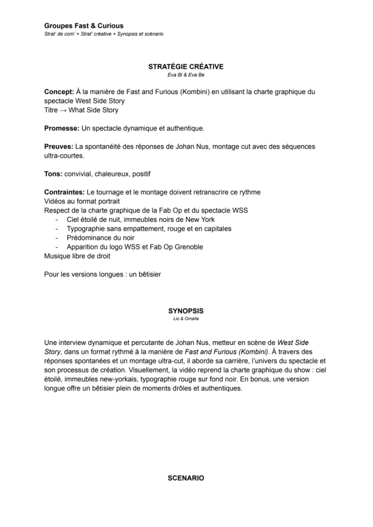 Stratégie créative & Synopsis fast&curious