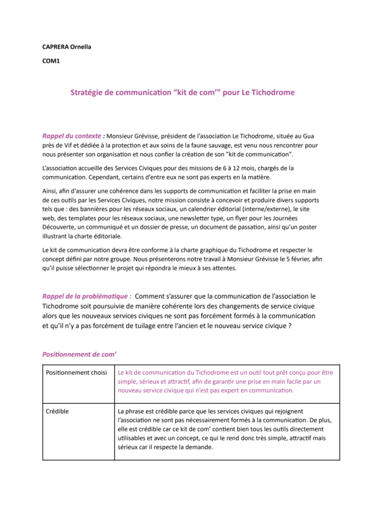 Stratégie de communication